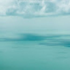 Meet your Posher, Nimo